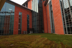AIIMS – JAMMU