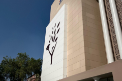 Bhai Parmanand Vidya Mandir