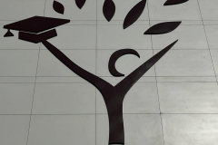 Bhai Parmanand Vidya Mandir