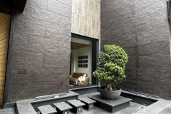 Farm House, Chhattarpur