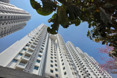 Nirvana (Residential Hi-Rice Building)