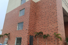WhatsApp-Image-2025-09-18-at-8.48.44-PM-2