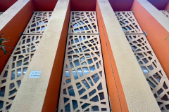 PHOTO-2025-03-05-12-21-49-3