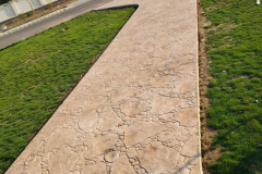 LEO'Z COUNTY – Bathinda, Punjab