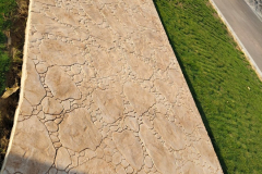 LEO'Z COUNTY – Bathinda, Punjab