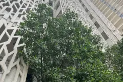Puri Emerald - Gurugram