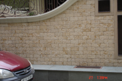 DSC00270