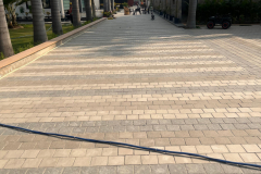 WhatsApp-Image-2025-12-26-at-3.59.25-PM-2