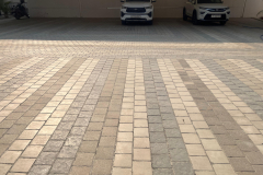 WhatsApp-Image-2025-12-26-at-3.59.25-PM