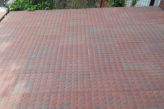 DSCN0428