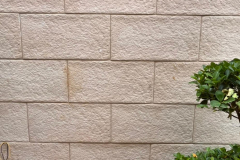 Gallery: RESIDENCE D - 17, Preet Vihar, New Delhi