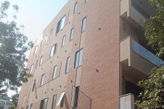 WhatsApp-Image-2025-11-03-at-7.40.14-PM