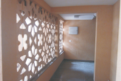 Jali-Back