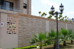 DSC04690