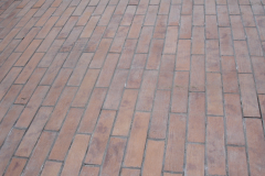 DSC04694